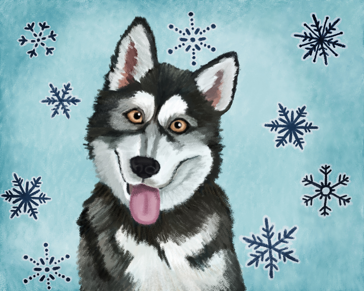 Alaskan Malamute Illustration