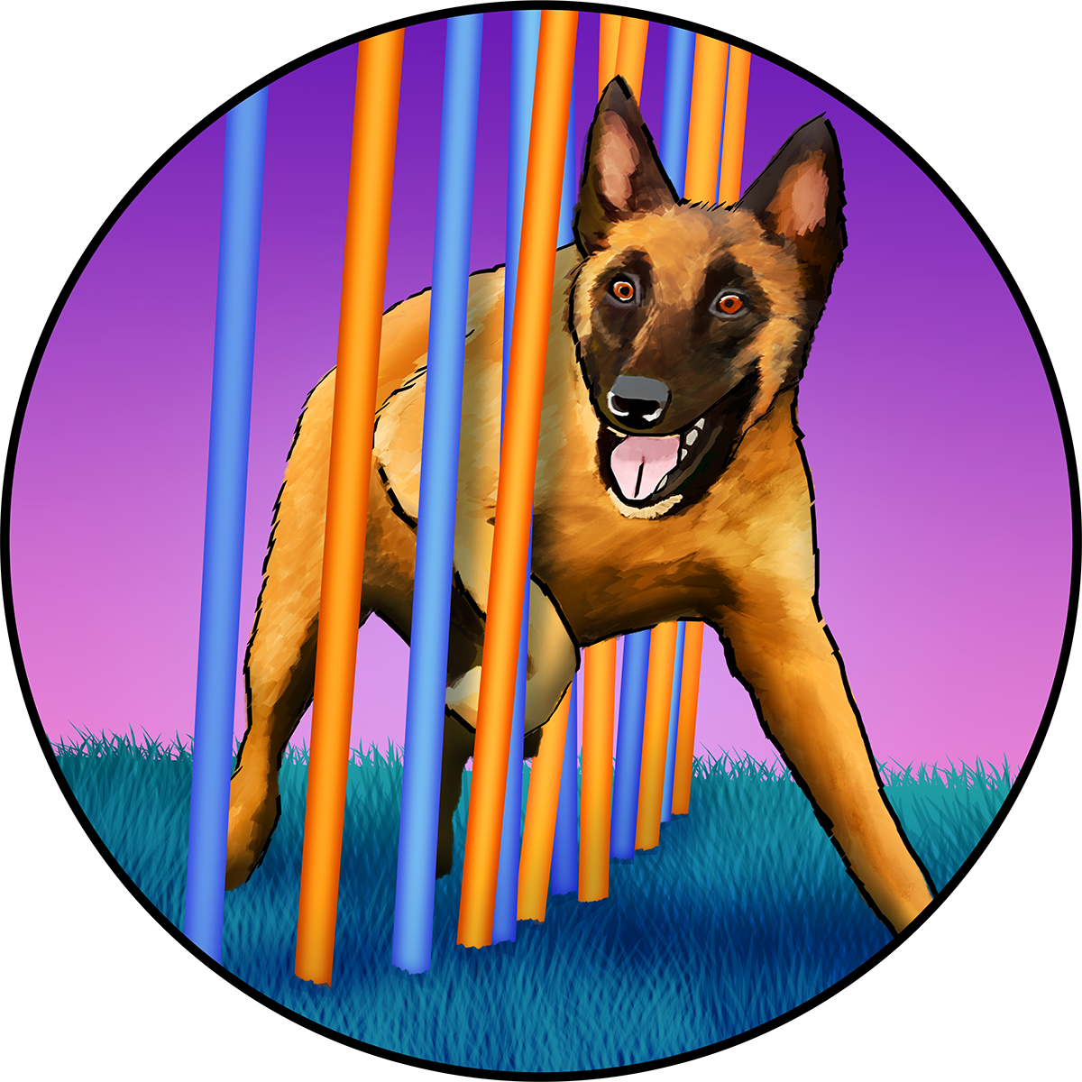 Belgian Malinois agility illustration