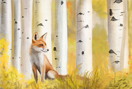 Fox and Birch trees: Illustration
