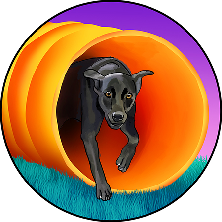 Black Labrador Retriever agility illustration
