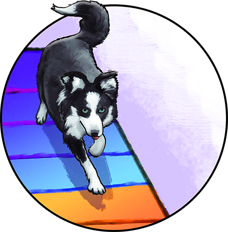 Dog agility illustration