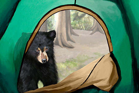 Black Bear Camping Painting
