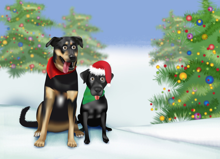 Holiday pet illustration