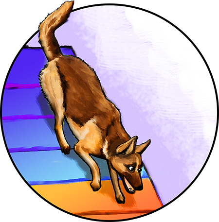 German Shepherd agility illustration