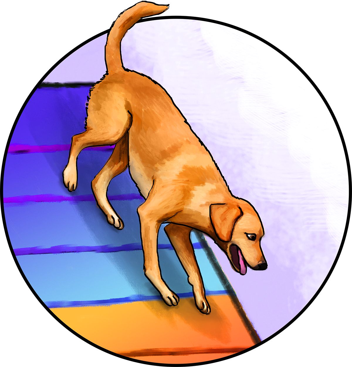 dog agility illustration