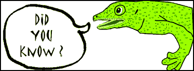 CartoonGecko.gif (5235 bytes)